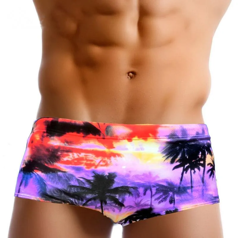 Classic Cut Brazilian Sexy Men's Bikini Swimwear Swimming Swimsuits