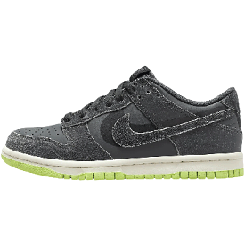 Dunk Low SE Older Kids' Shoes - Grey